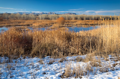 South Loop, Bosque del Apache