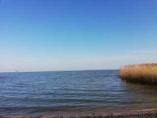 Poranek nad Zalewem Wczesną wiosną