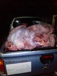 PM apreende 800 quilos de carne em MT