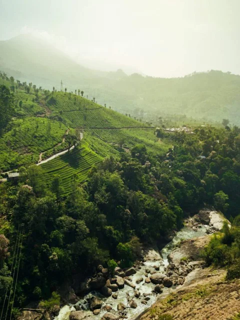 Munnar