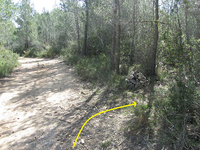 CAL ROTLLAT - FONDO DEL TOTARREU - COLL DELS CARRERS - PUIG DE VILAFRANCA - MASIA DE LA COSTA, camí als Colls dels Carrers