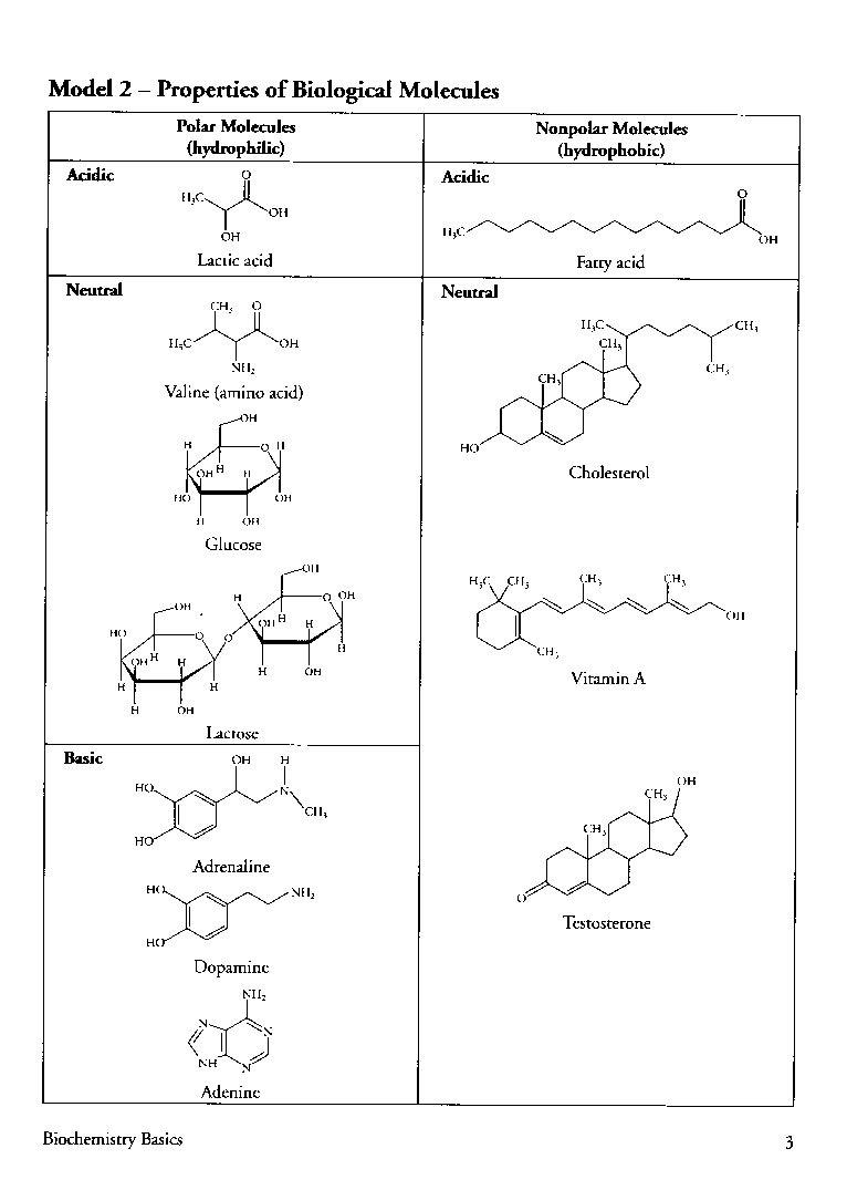 Biochemistry basics pogil answer key