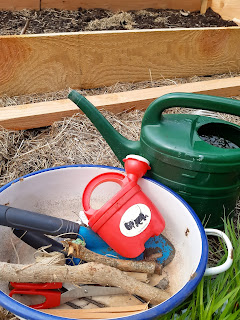 augustus zaaien in moestuin