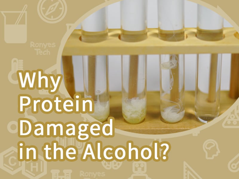 Why Protein Damaged in the Alcohol?