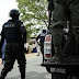 Police arrest 4 suspects for cultivating Indian hemp in Osun 