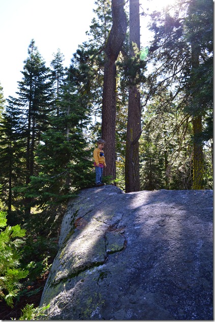 2012-08-04 Loon Lake Camping 076