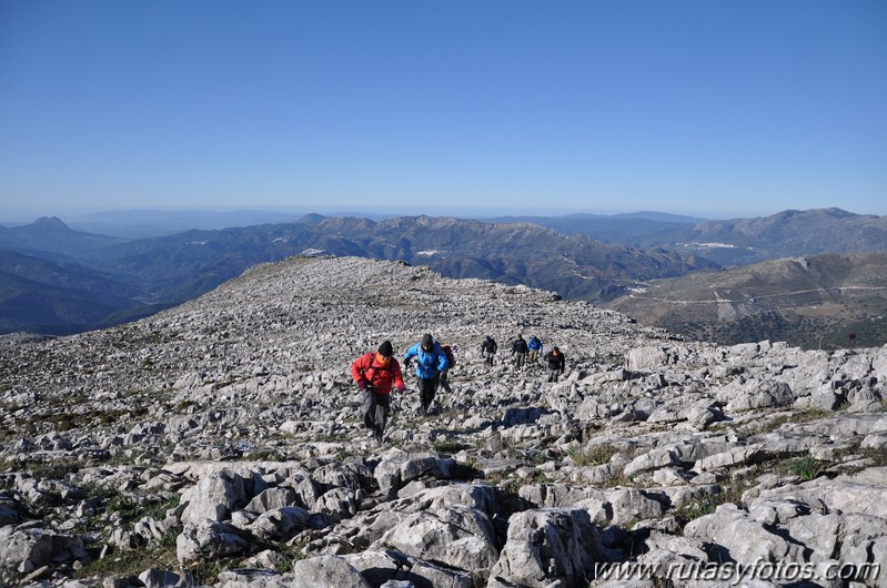 Jarastepar - Cancho de Almola