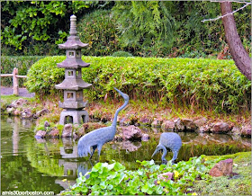 Japanese Tea Garden: San Francisco