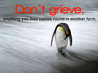 Don’t grieve. Anything you lose comes round in another form.