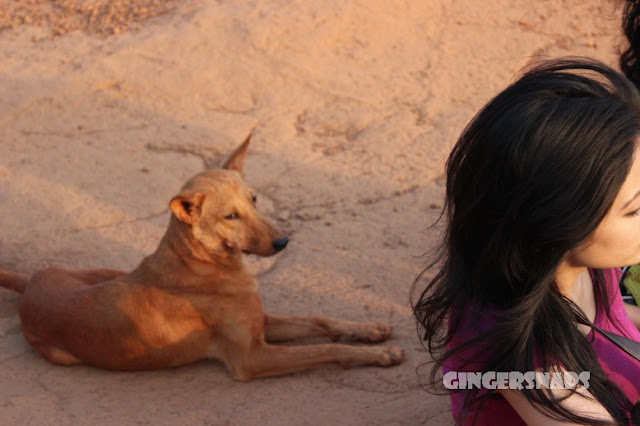 matheran girl dog evening