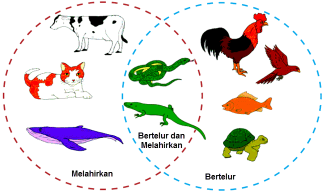 Tuliskan Dalam Bentuk Peta Pikiran Perkembangbiakan Hewan ...