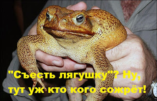 Бывают такие "задачи-лягушки", энергетические затраты на решение которых могут оставить без сил на весь оставшийся день