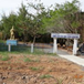 View album