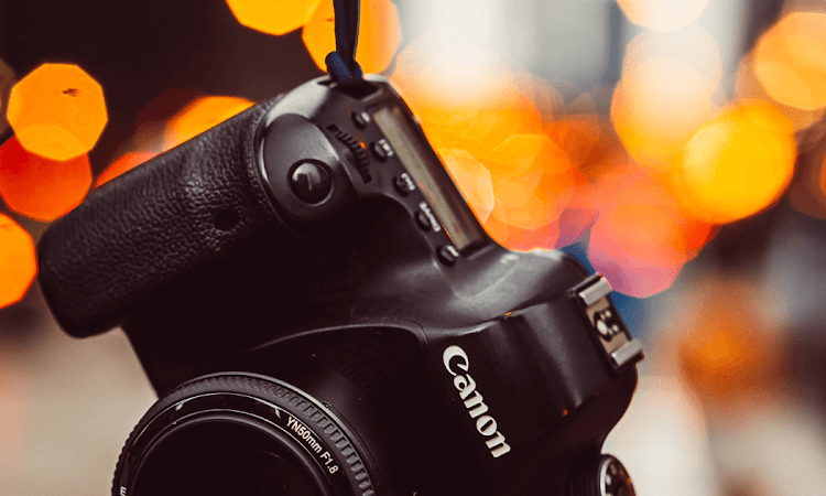 The Best DSLR Cameras for Beginners in 2023