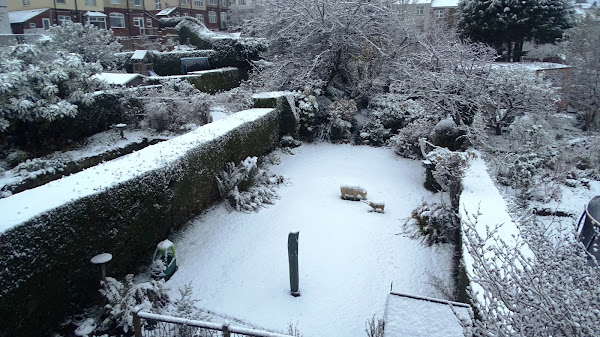Snow
