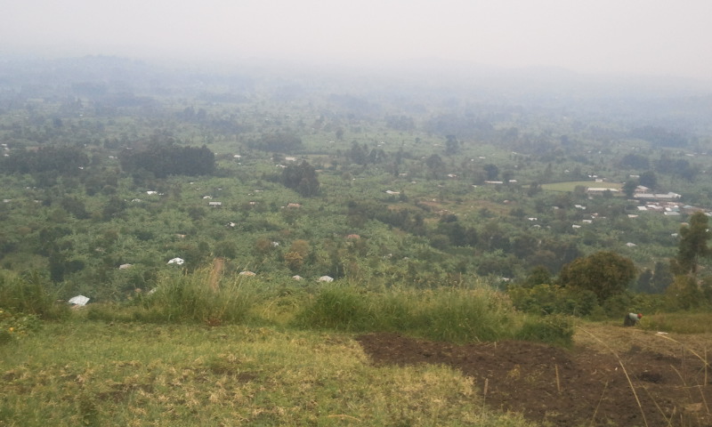 Hiking in the Rwenzori Mountains
