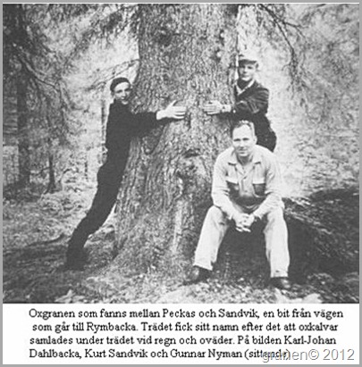normal_Oxgranen