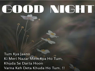Good Night Best Shayari Pic.jpg