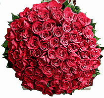 100_Red_Roses_basketINFO-thumb