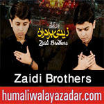 http://www.humaliwalayazadar.com/2017/09/zaidi-brothers-nohay-2018.html