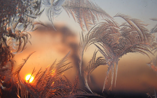 Window Frosted