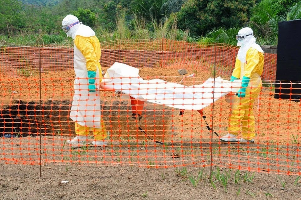 http://sciencythoughts.blogspot.co.uk/2014/07/at-least-467-dead-in-west-african-ebola.html