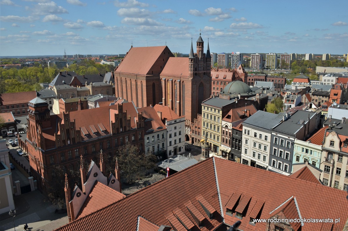 Toruń-w-jeden-dzień