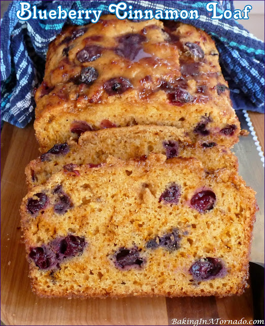 Blueberry Cinnamon Loaf is a quick bread both encrusted and infused with cinnamon, and loaded with plump blueberries. | recipe developed by www.BakingInATornado.com | #recipe #bread