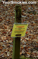 Elkmont backcountry campsite 20 still has an active black bear warning posted