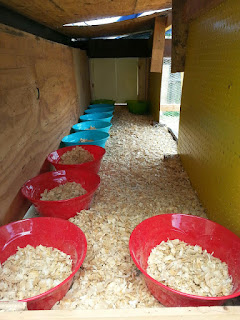 Low Cost Chicken Nesting Boxes