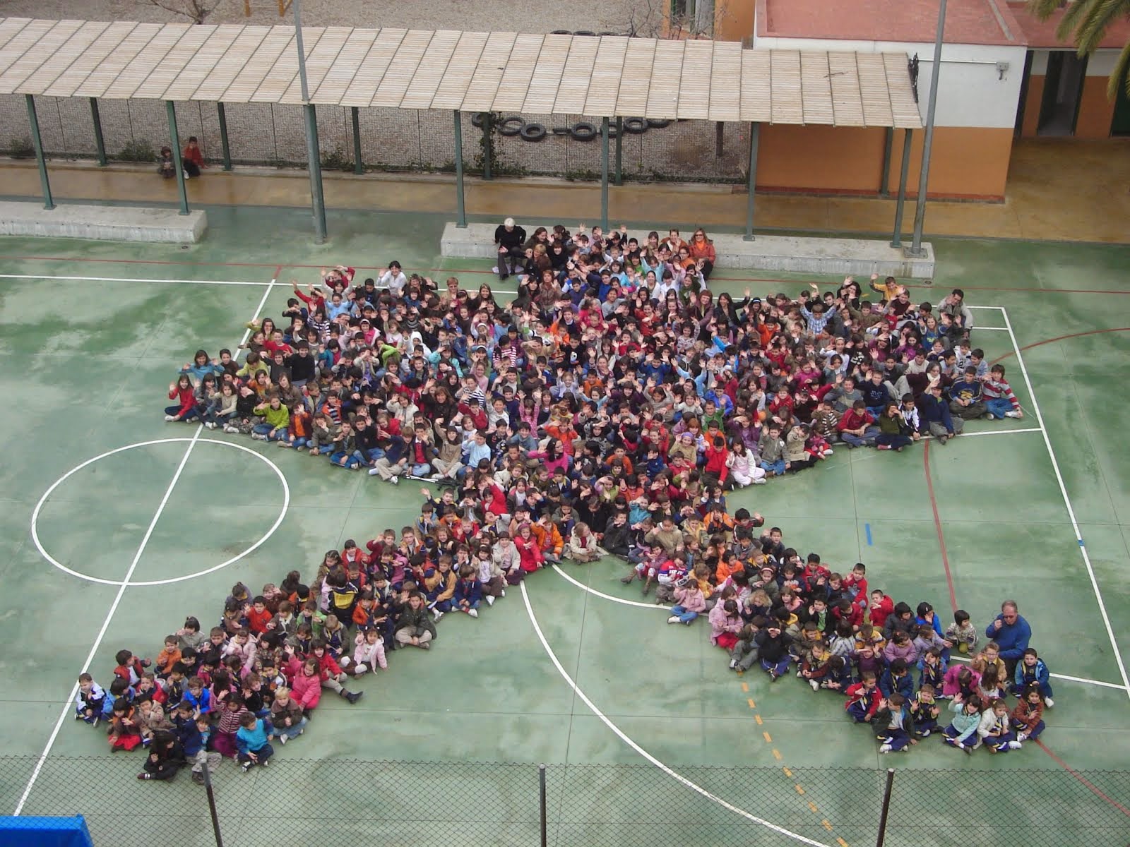 Campanya pastoral 2008