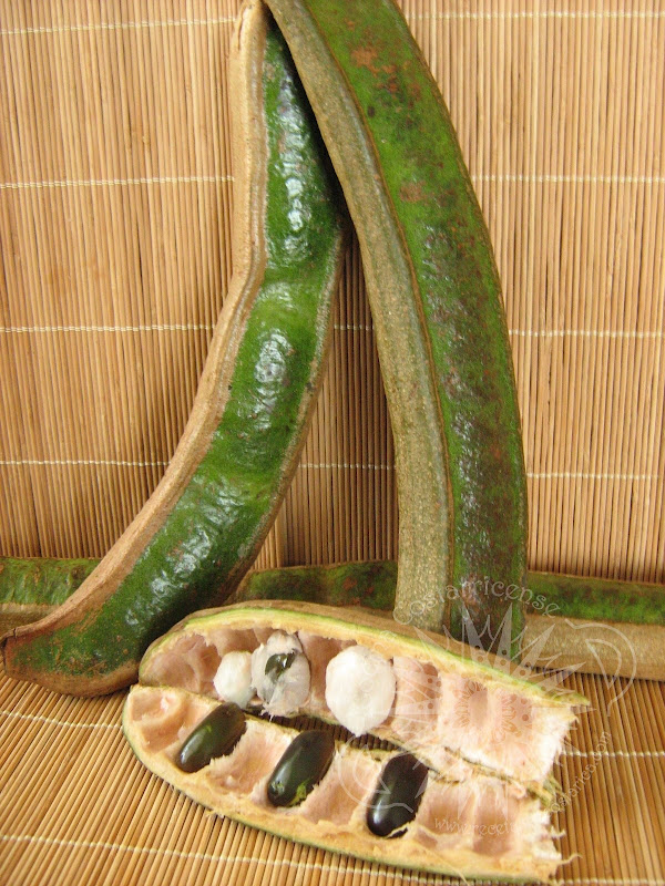 Cocina Costarricense Guabas