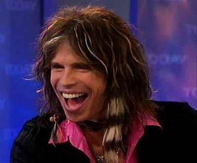 steven tyler fall