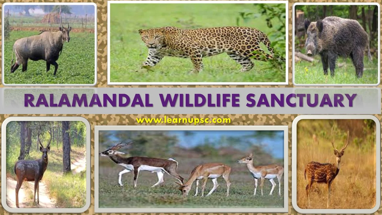 Ralamandal Wildlife Sanctuary