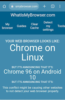 Cek Versi Chrome Hp Secara Online