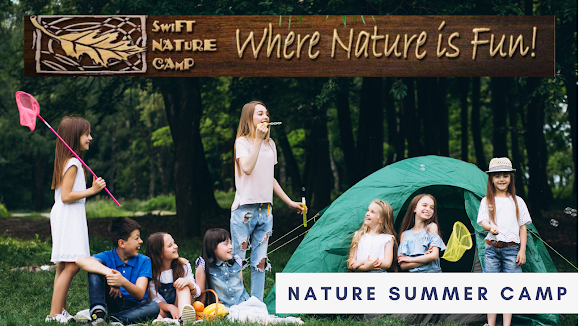 Nature Summer Camp - Swift Nature Camp