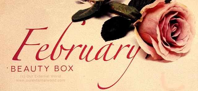 Unboxed: My Envy Box February Edition