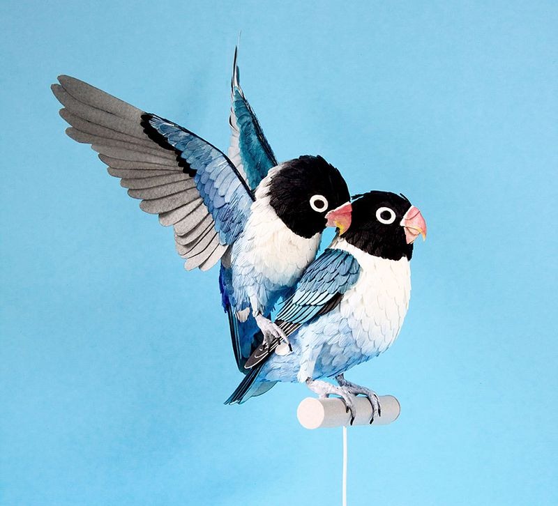 diana-beltran-herrera-birds-23
