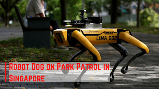 Robot Dog on Park Patrol in Singapore