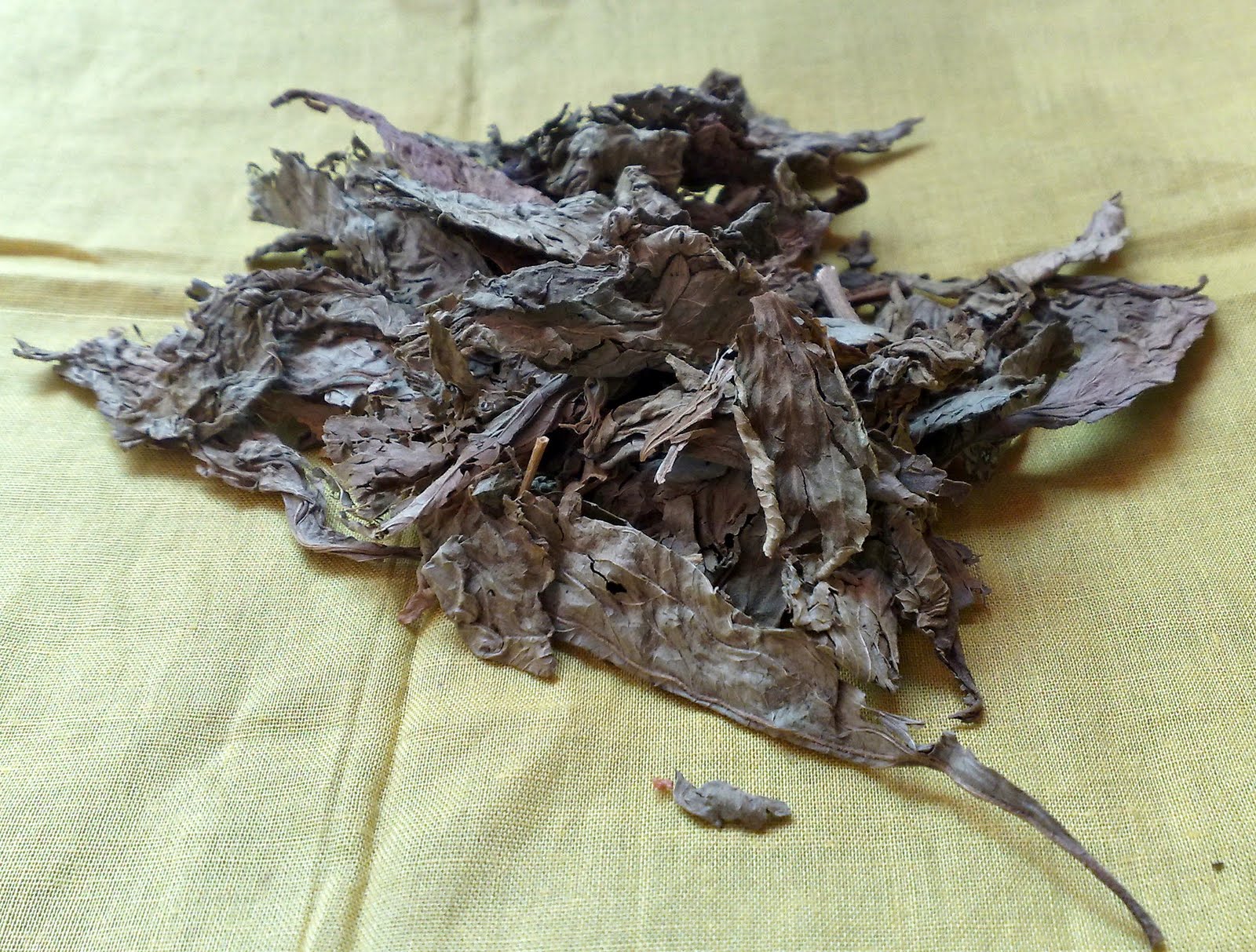 Pak Chu's Antiques, Mystic & Traditional Herbs: Herba 