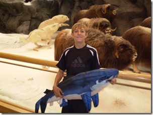 a Great white caught in Cabela's