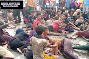 Kombes Winardy: Imigran Rohingya yang Terdampar di Pidie sedang Didata