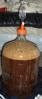 Fermenting in the Carboy...