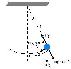 Pendulum Sederhana (Bandul) ~ Alsen Saloka Blog's