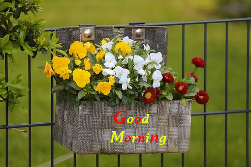 Latest Best Good Morning Wishes.