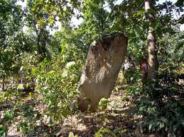 Nine megalithic graves discovered in Mysore district