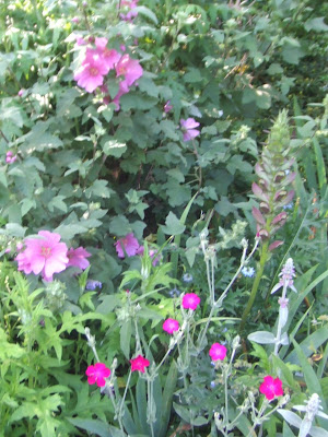 sutton garden