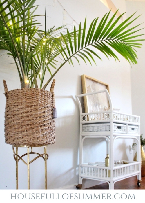 How to Decorate with Palm Trees | Interior Decor Inspiration Images