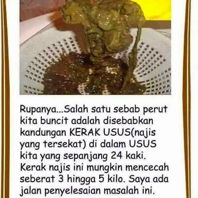 .: Kapsul Herba Segar ( UBAT CUCI USUS) ORIGINAL