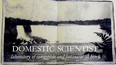 domestic scientist